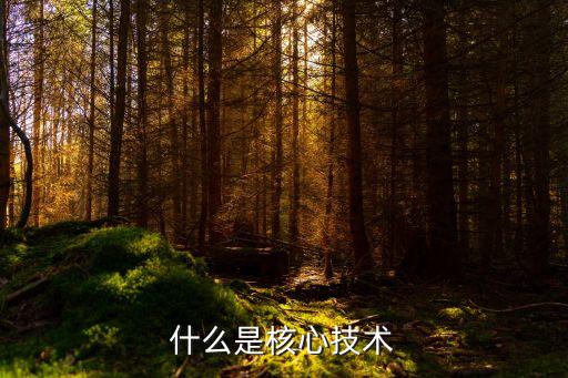 核心技術主要包括哪些方面，物聯(lián)網(wǎng)核心技術有哪些