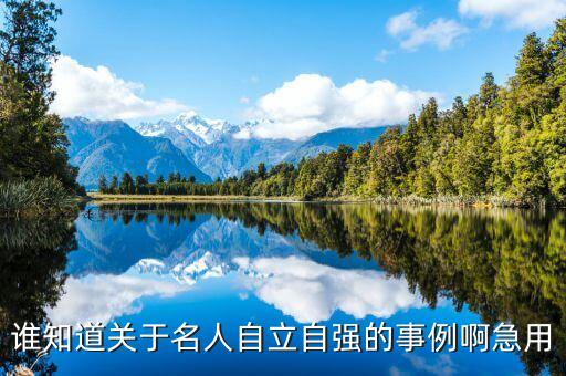 誰知道關(guān)于名人自立自強(qiáng)的事例啊急用