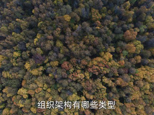 組織架構(gòu)有哪些類型
