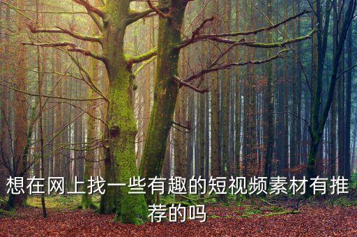 想在網(wǎng)上找一些有趣的短視頻素材有推薦的嗎