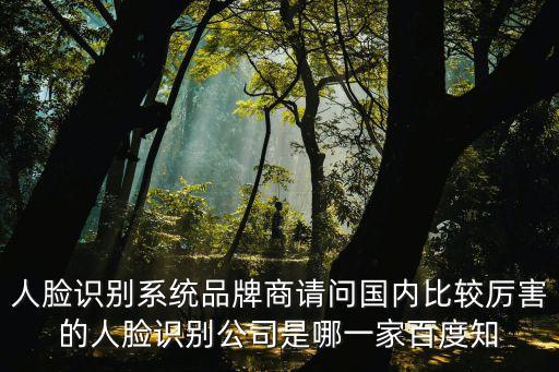 人臉識別系統(tǒng)品牌商請問國內(nèi)比較厲害的人臉識別公司是哪一家百度知