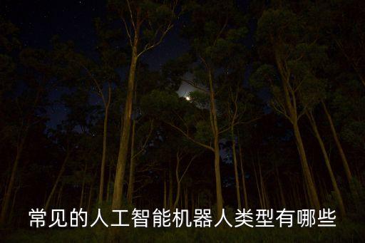 常見(jiàn)的人工智能機(jī)器人類(lèi)型有哪些