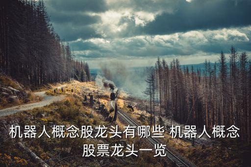人形機(jī)器人上市公司，阿爾法人形機(jī)器人是哪家公司生產(chǎn)的