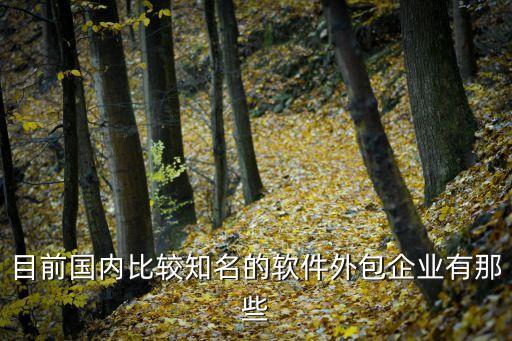 目前國內(nèi)比較知名的軟件外包企業(yè)有那些