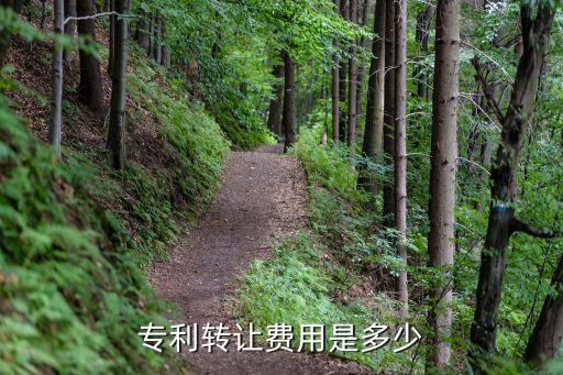 專利轉(zhuǎn)讓價(jià)格一覽表，一般一項(xiàng)簡(jiǎn)單的實(shí)用新型專利轉(zhuǎn)讓費(fèi)大約是多少