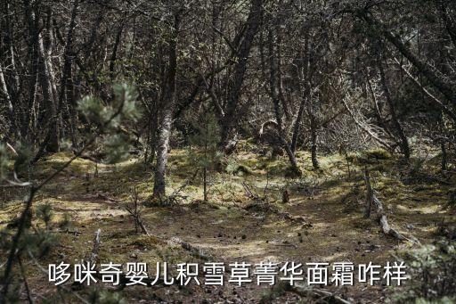 哆咪奇嬰兒積雪草菁華面霜咋樣