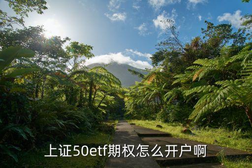 上證50etf期權(quán)怎么開戶啊
