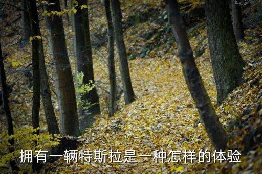 擁有一輛特斯拉是一種怎樣的體驗(yàn)