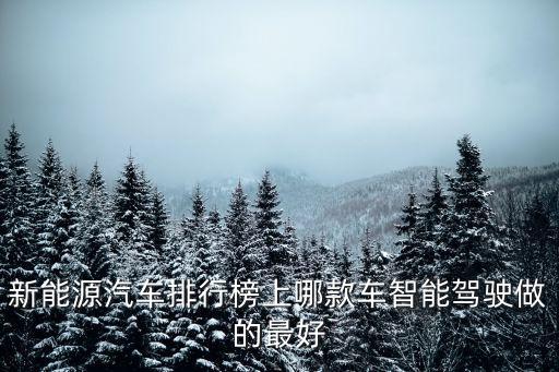 新能源汽車排行榜上哪款車智能駕駛做的最好