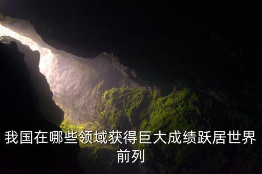 我國在哪些領域獲得巨大成績躍居世界前列