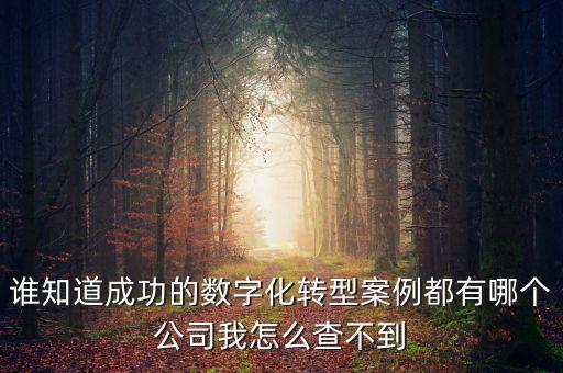 誰(shuí)知道成功的數(shù)字化轉(zhuǎn)型案例都有哪個(gè)公司我怎么查不到
