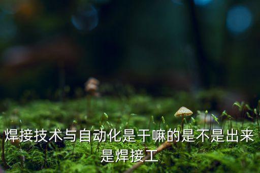 焊接技術(shù)與自動(dòng)化是干嘛的是不是出來是焊接工