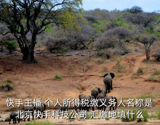 北京快約科技有限公司是干什么的，快手主播 個人所得稅繳義務(wù)人名稱是北京快手科技公司 匯繳地填什么
