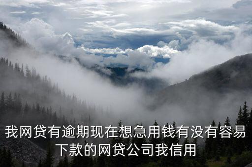 當(dāng)前逾期嚴(yán)重能下款的平臺(tái)，我網(wǎng)貸有逾期現(xiàn)在想急用錢(qián)有沒(méi)有容易下款的網(wǎng)貸公司我信用