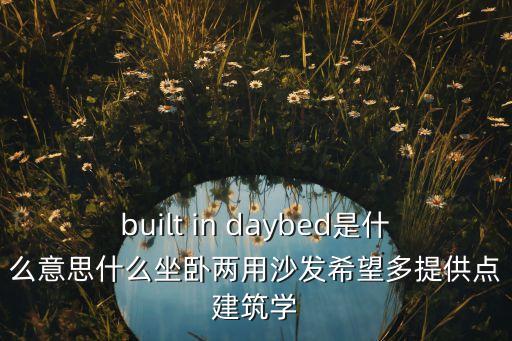 built in daybed是什么意思什么坐臥兩用沙發(fā)希望多提供點(diǎn)建筑學(xué)