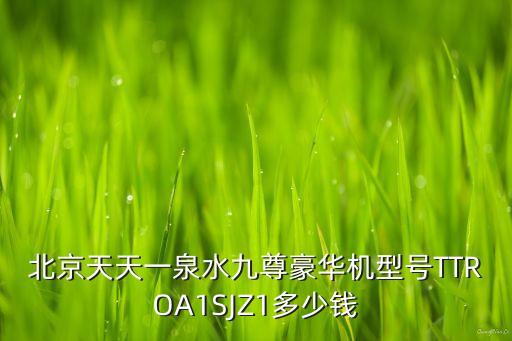 北京天天一泉水九尊豪華機(jī)型號TTROA1SJZ1多少錢