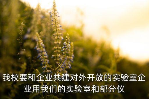我校要和企業(yè)共建對外開放的實驗室企業(yè)用我們的實驗室和部分儀