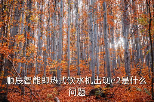 順辰智能即熱式飲水機(jī)出現(xiàn)e2是什么問題