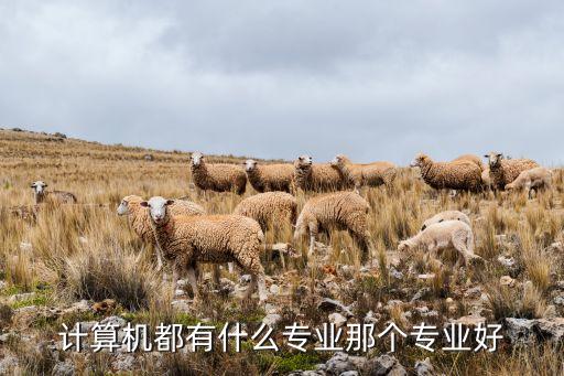 計算機都有什么專業(yè)那個專業(yè)好