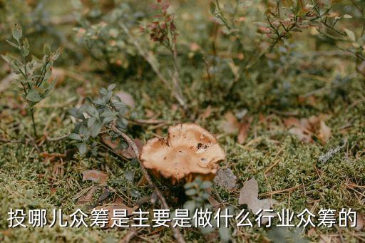 投哪兒眾籌是主要是做什么行業(yè)眾籌的
