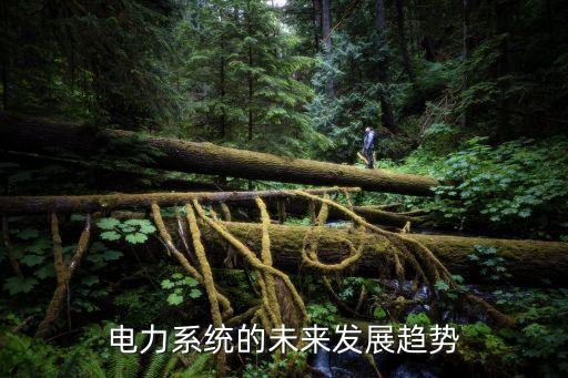 電力系統(tǒng)的未來(lái)發(fā)展趨勢(shì)