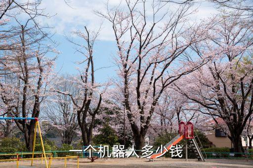 納米機(jī)器人多少錢一個，仿人機(jī)器人NAO多少錢一個哪里可以買