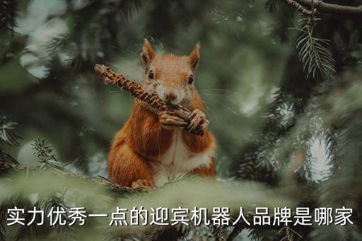 實力優(yōu)秀一點的迎賓機器人品牌是哪家