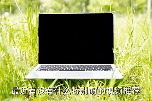 最近有沒有什么特別萌的視頻推薦