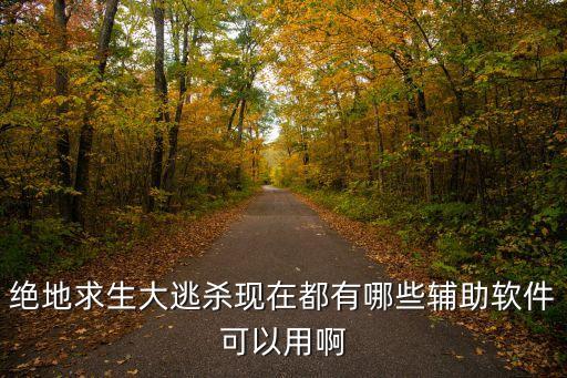 絕地求生大逃殺現(xiàn)在都有哪些輔助軟件可以用啊