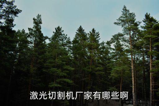 激光切割機廠家有哪些啊
