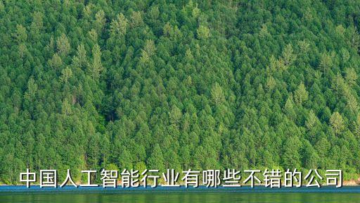 ai軟件開發(fā)公司，哪家公司是做人工智能軟件開發(fā)的