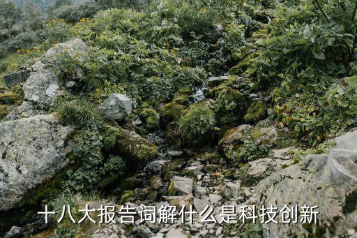 十八大報(bào)告詞解什么是科技創(chuàng)新