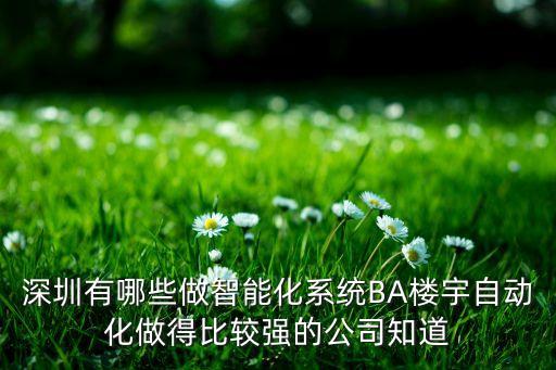 深圳有哪些做智能化系統(tǒng)BA樓宇自動化做得比較強的公司知道