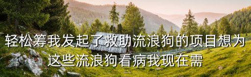 輕松籌我發(fā)起了救助流浪狗的項目想為這些流浪狗看病我現(xiàn)在需