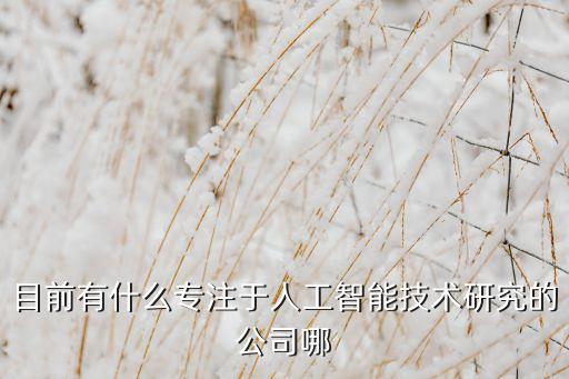 目前有什么專注于人工智能技術(shù)研究的公司哪