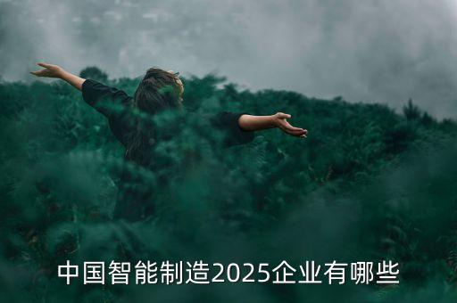中國智能制造2025企業(yè)有哪些