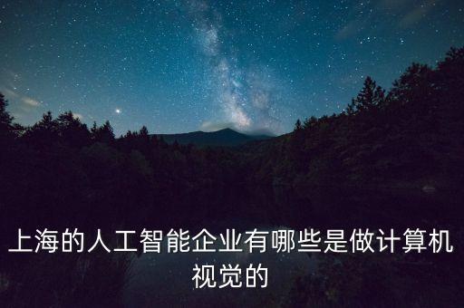 上海的人工智能企業(yè)有哪些是做計算機視覺的