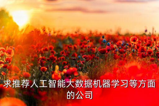 求推薦人工智能大數(shù)據(jù)機(jī)器學(xué)習(xí)等方面的公司