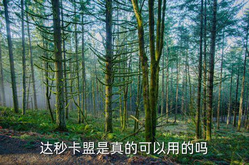 秒鉆卡盟是真的嗎，秒鉆卡盟怎么樣