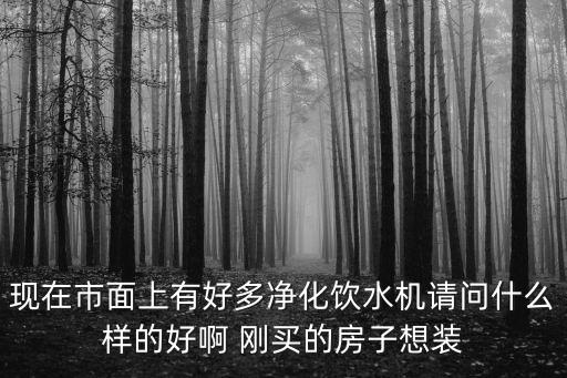 現(xiàn)在市面上有好多凈化飲水機(jī)請(qǐng)問什么樣的好啊 剛買的房子想裝