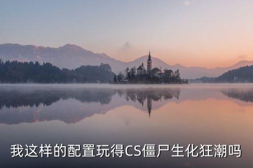 我這樣的配置玩得CS僵尸生化狂潮嗎