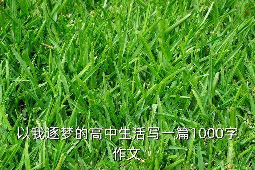 以我逐夢(mèng)的高中生活寫(xiě)一篇1000字作文