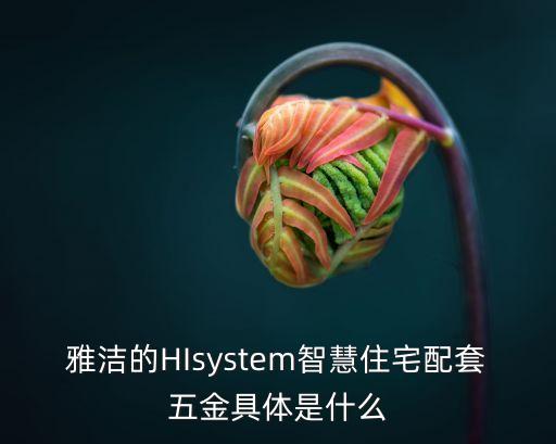 雅潔的HIsystem智慧住宅配套五金具體是什么