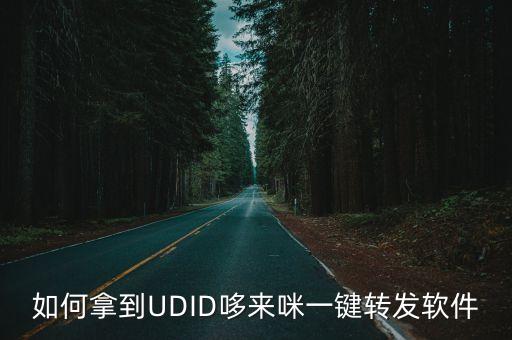 如何拿到UDID哆來咪一鍵轉(zhuǎn)發(fā)軟件