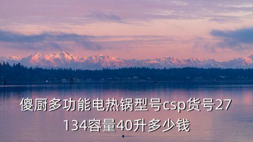 傻廚多功能電熱鍋型號csp貨號27134容量40升多少錢