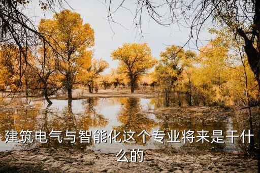 建筑電氣與智能化這個專業(yè)將來是干什么的