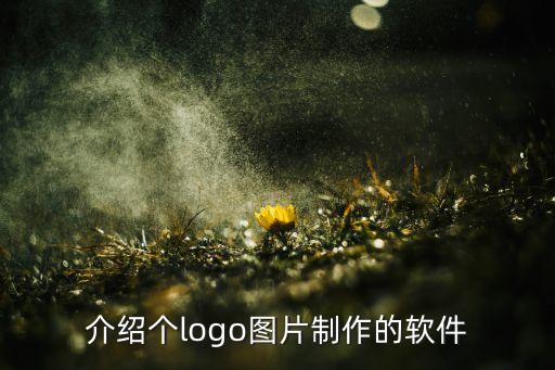 免費(fèi)logo圖片生成器，logo制圖軟件