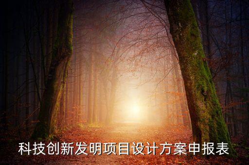 科技創(chuàng)新發(fā)明項(xiàng)目設(shè)計(jì)方案申報(bào)表