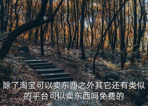 免費入駐的賣貨平臺有哪些，除了淘寶可以賣東西之外其它還有類似的平臺可以賣東西嗎免費的
