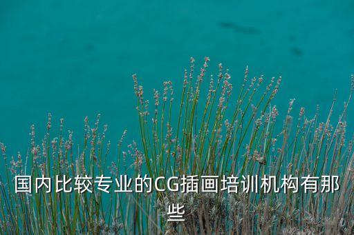 插畫原畫十大培訓機構，國內(nèi)比較專業(yè)的CG插畫培訓機構有那些